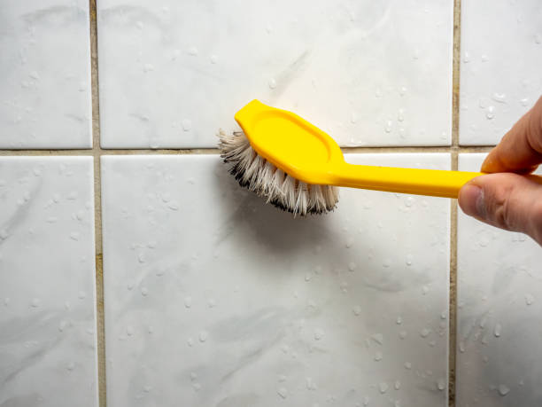 Best Best Mold Removal Companies  in Runnemede, NJ